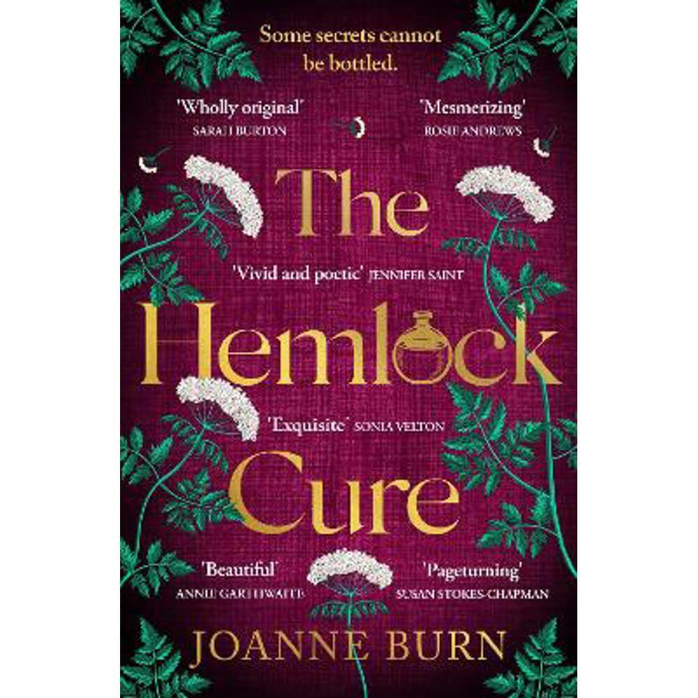 The Hemlock Cure: "A beautifully written story of the women of Eyam" Jennifer Saint, author of ARIADNE (Paperback) - Joanne Burn